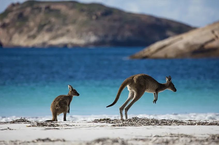 全球最佳的50个海滩！西澳这地排第一！你打卡了吗？（组图） - 9