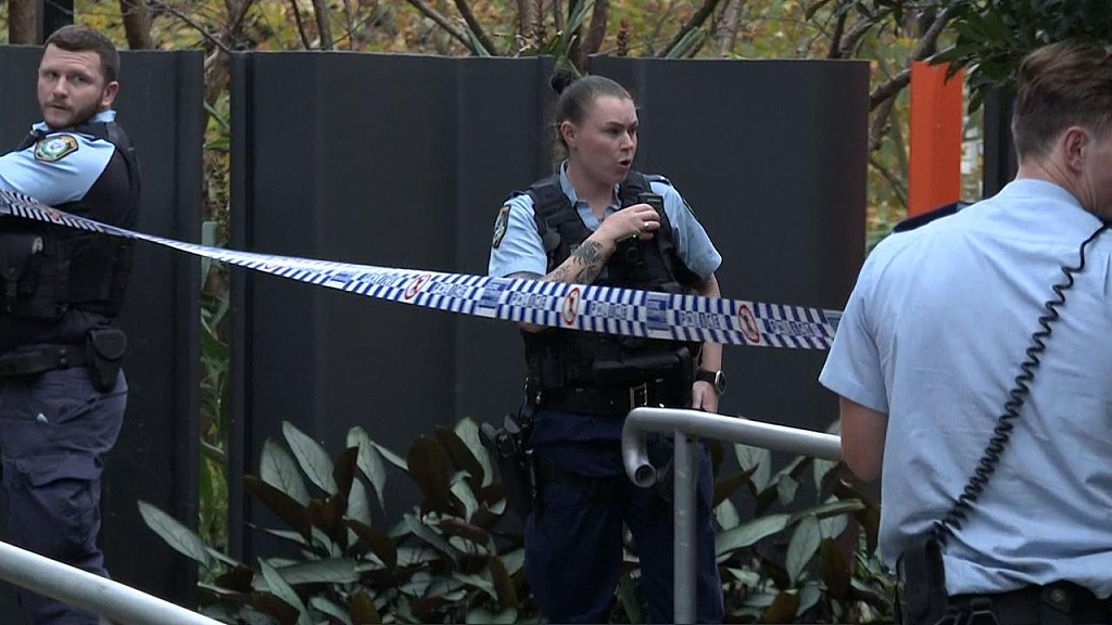 最新！3岁幼童在澳华人区公寓内惨死，死者生父成头号嫌犯（组图） - 7