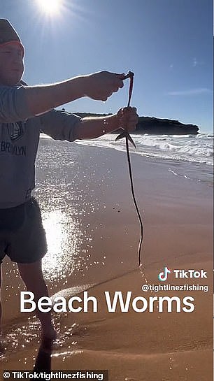 一名男子最近捕获了一条带有一段腐烂鱼的“海滩蠕虫”，并在镜头前举起了这只可怕的生物