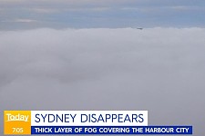 悉尼今晨遭遇“浓雾锁城”，地标建筑集体“隐身”，渡轮服务暂停（组图）