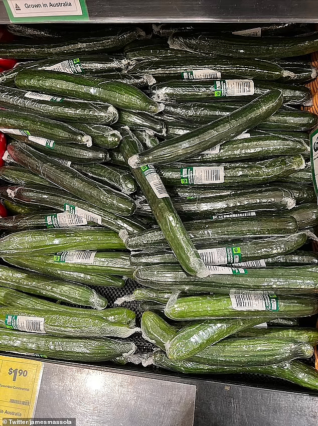 网友热议！Woolies塑料包装黄瓜引骂声，顾客怒批超市违反“禁塑令”（组图） - 2