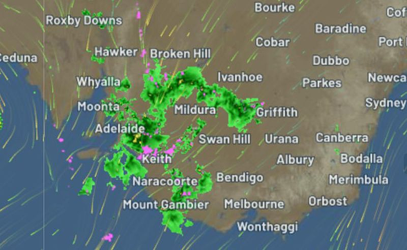 澳洲东南海岸发布恶劣天气警告，维州将迎强降雨和破坏性大风（组图） - 3