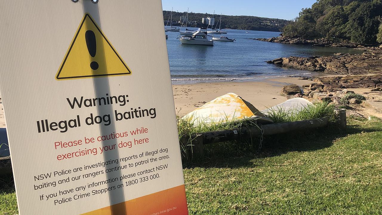 Northern Beaches Council 在 Forty Baskets Beach 设置了警告标志，该海滩位于 Manly 到 The Spit 步道的繁忙路段。 图片：Jim O'Rourk<b>e</b>