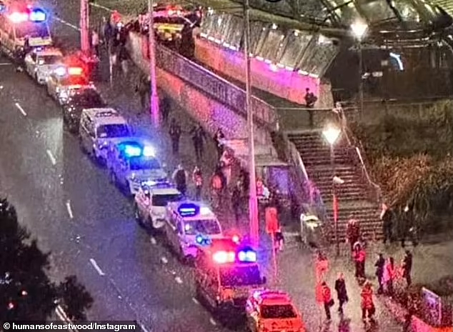 悉尼麦格瑞大学外未成年人持刀捅人，少年胸部中刀送院！地铁站紧急停运，5男童被捕（图） - 2