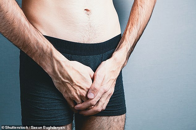 Men who are overweight or obese may appear to have smaller penises because of the distribution of fat tissue (stock image)