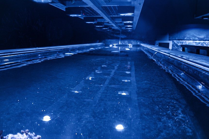 Empty water tank under blue lights.