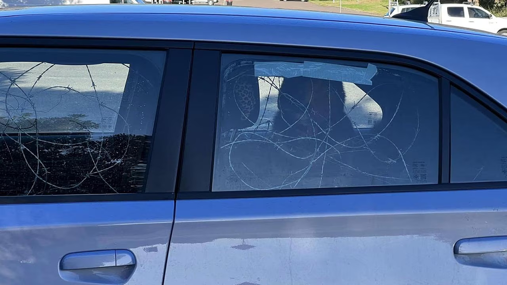 新州一汽车车窗“布满铁丝网”，车内小狗引人注意！路人果断报警（组图） - 2