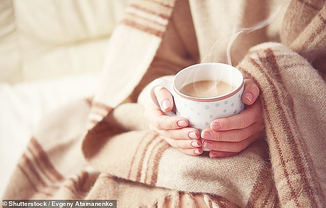 She considers heating in her NSW rental as a 'luxury'  and forced to warm up using a duvet as electricity prices and inflation and interest rates continue to sky rocket (stock image