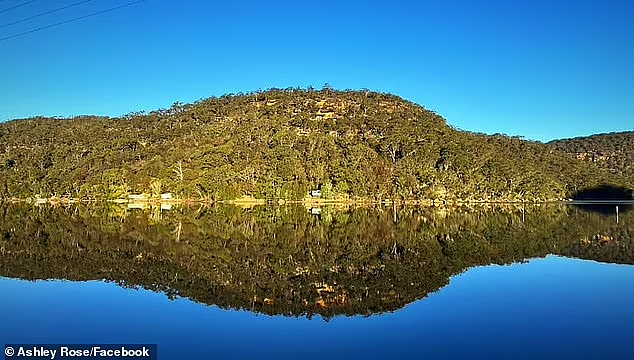 澳洲超美火车站！风景如画令人震撼，“一下车便是走进大自然”（组图） - 5