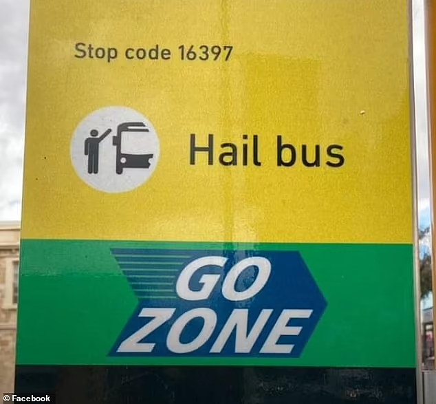 澳洲公共巴士标志引不满，被指像行“纳粹礼”！政府介入（组图） - 2