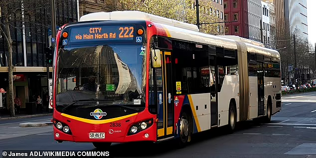 澳洲公共巴士标志引不满，被指像行“纳粹礼”！政府介入（组图） - 3