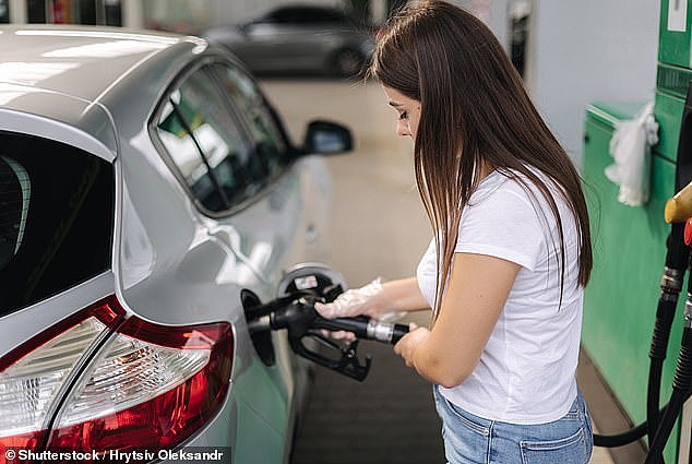 The strategy recommends the NSW government introduce a low emissions zone to encourage a shift to electric vehicles