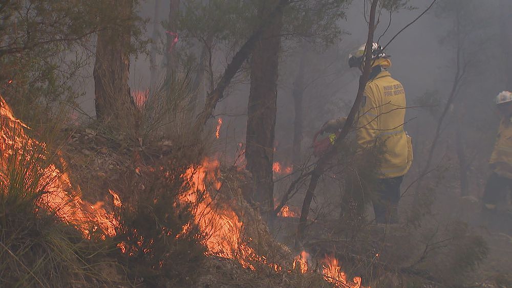 新州面临20年来最严重火灾季节！消防队加强控制燃烧，悉尼地区成最大风险区（图） - 2
