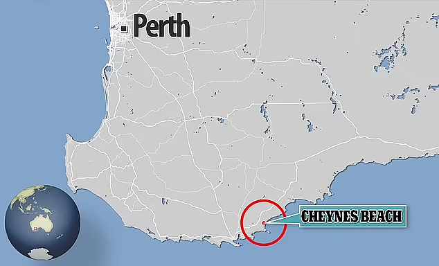 大群领航鲸搁浅西澳海滩，当地人冲到海湾施救！当局发警告（视频/组图） - 4