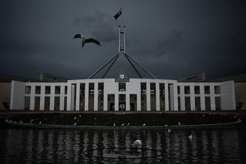 Seagulls gather outside the main entrance to Parliament House.