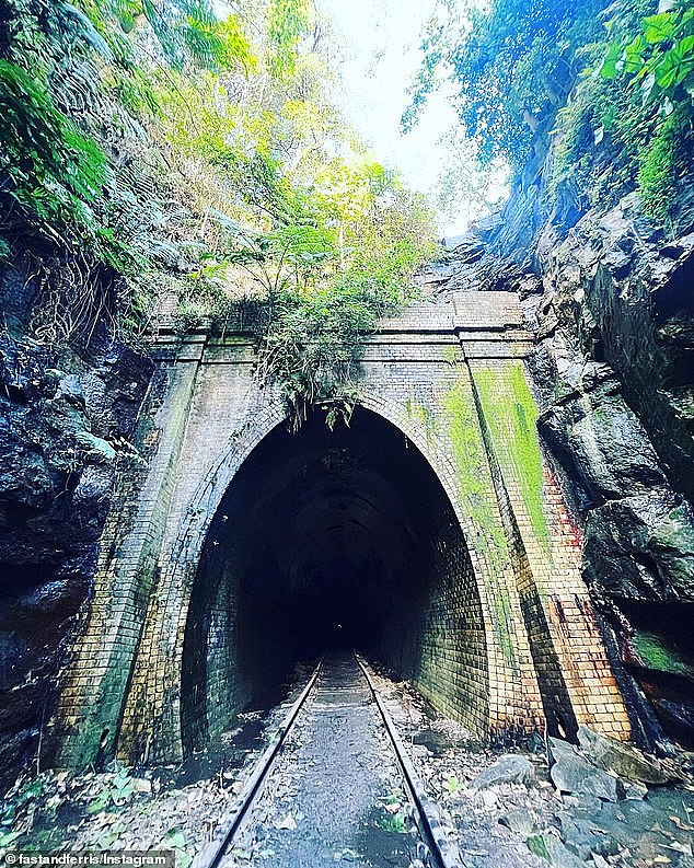 People are flocking to this abandoned railway tunnel which lies in bushland an hour south of Sydney