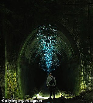 The tunnels are home to one of the largest glow worm colonies in Australia
