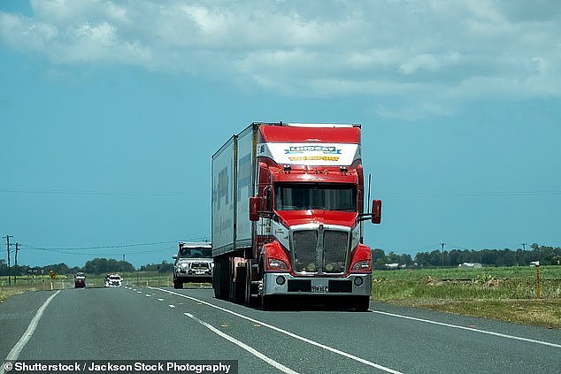 Google's AI-based chatbot, Bard, has included truck drivers, accountants and data entry clerks as the most likely to have their jobs effected by the growth of AI (stock image)