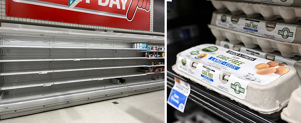 Empty Coles shelves; Egg cartons on supermarket shelf pictured. 