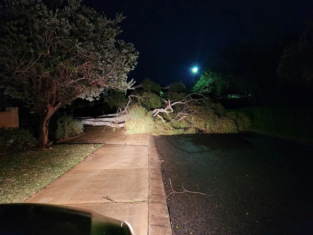 强雷暴天气袭击西澳，超三万户家庭断电，狂风掀翻屋顶，树木倒塌（组图） - 4