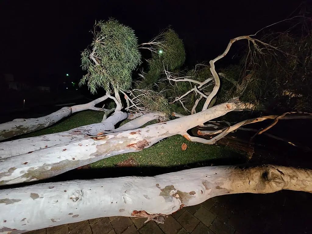 强雷暴天气袭击西澳，超三万户家庭断电，狂风掀翻屋顶，树木倒塌（组图） - 5