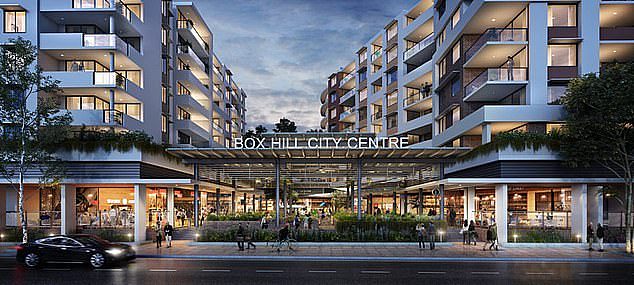 Nassif secured loans worth $252 million for the planned development at Box Hill, in Sydney's north-west