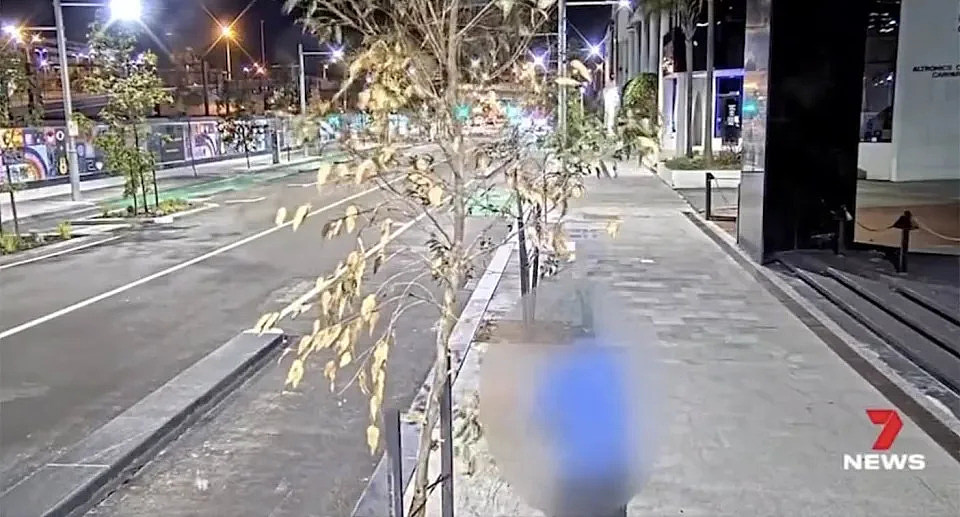 A man is caught on camera ripping branches off a tree on Roe Street in Perth.