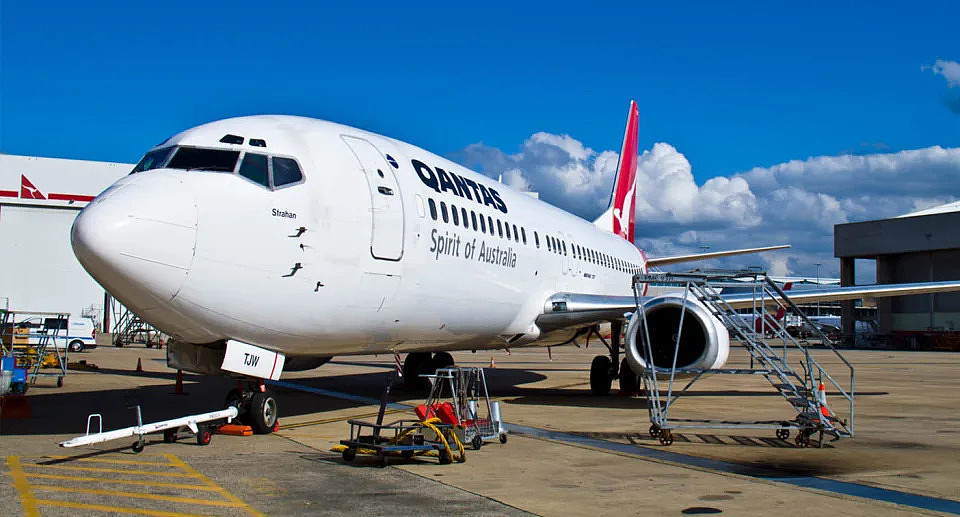 Qantas plane at airport on tarmac. 