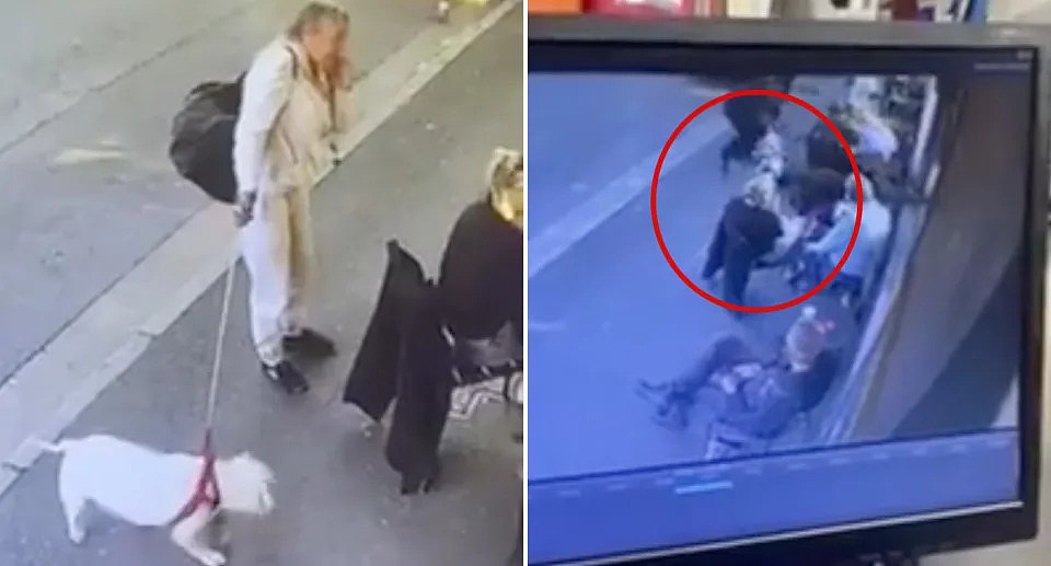 CCTV footage of the dog attack and the large white dog and it's owner leaving the Sydney bar. 