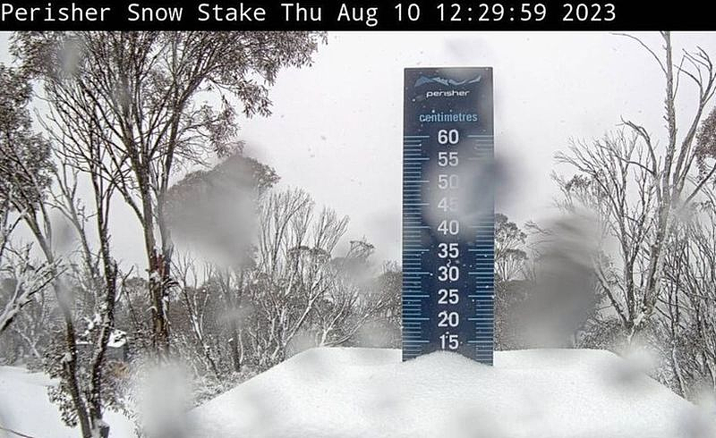新维2州滑雪场气温异常，连续4周“几乎无雪”！近日终于迎来大雪（图） - 2