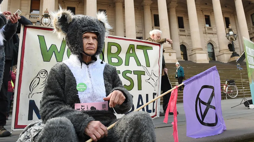 澳洲各地爆发集会，抗议者呼吁政府停止原始森林采伐（组图） - 2