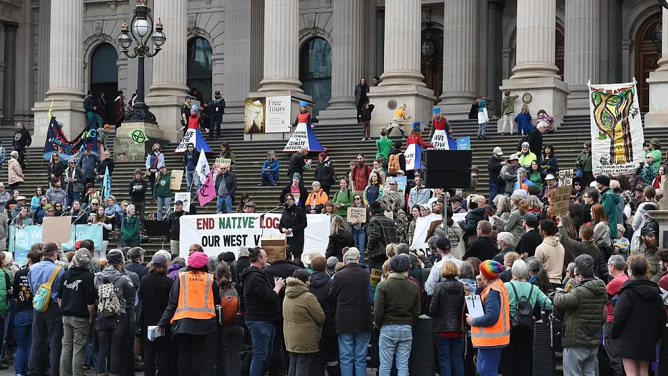 澳洲各地爆发集会，抗议者呼吁政府停止原始森林采伐（组图） - 3