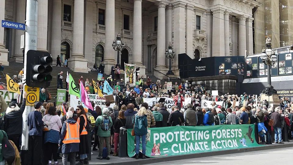 澳洲各地爆发集会，抗议者呼吁政府停止原始森林采伐（组图） - 4