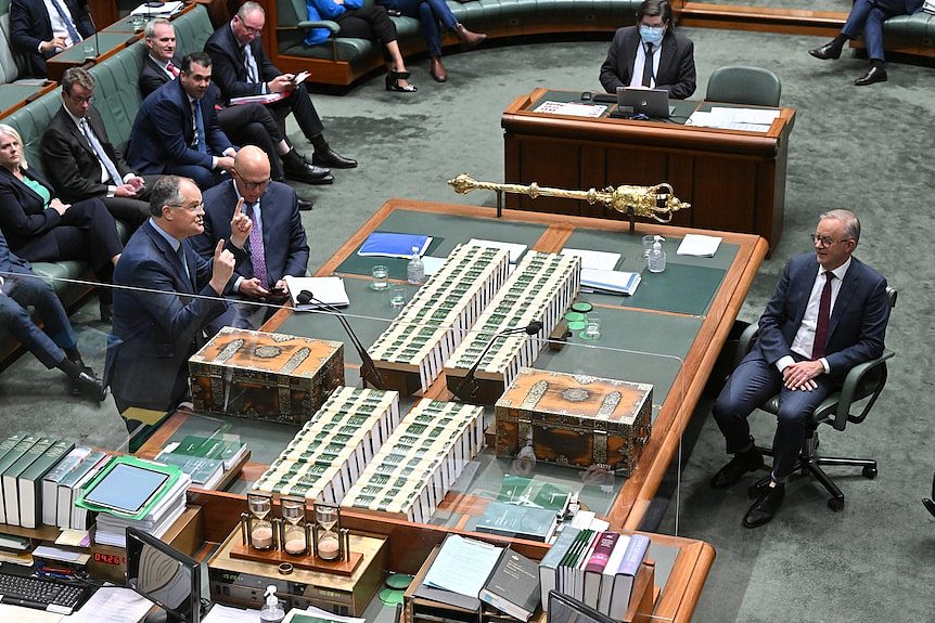 Ted, standing in parliament and gesturing, speaks across a table opposite Albanese.
