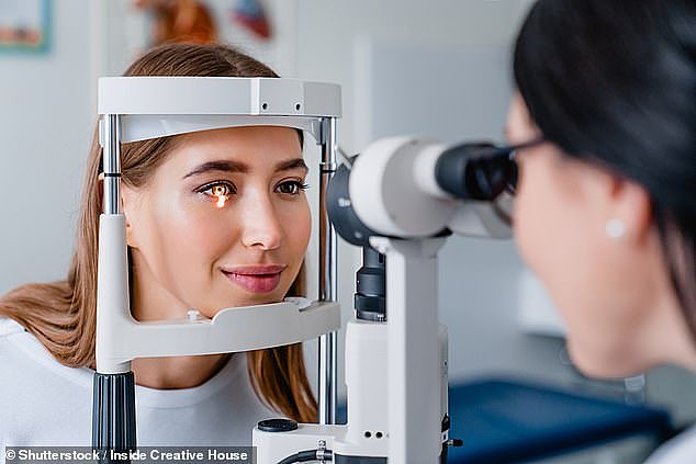 Optometry Australia strongly recommends Australians have a full eye exam every two years not just to preserve visual acuity but to spot the early signs of various illnesses (stock image)