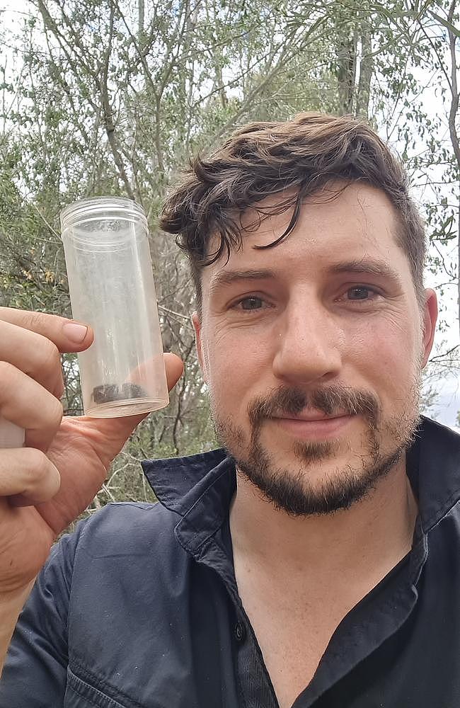Dr Jeremy Wilson in the field with a wishbone spider. Picture: Queensland Museum