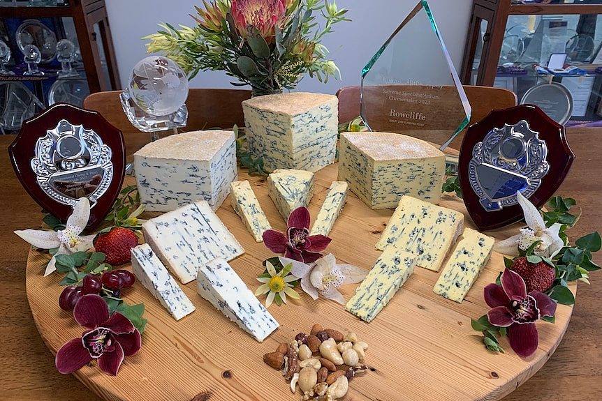 A giant cheese platter showcasing wedges of the companies cheese varieties.