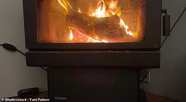 A business owner in Canberra who sells wood fired heaters in Canberra has slammed the ACT government's decision to phase out wood-fired heating, telling the Daily Mail that is has cost him his business