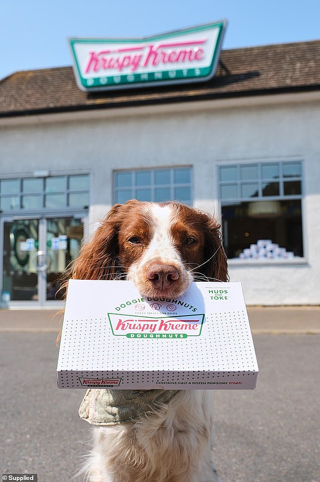 Dog owners will be able to get their hands on Krispy Kreme doughnut-inspired treats for their pooches. The biscuits will be available online and in stores from August 26