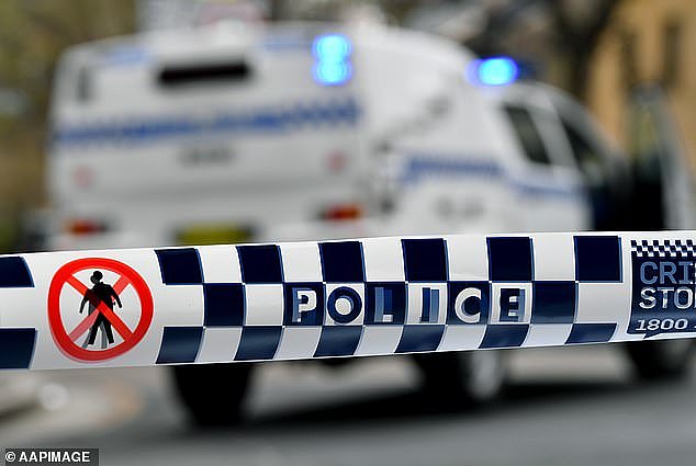 The 31-year-old man allegedly exposed himself to an eight-year-old girl at a shopping precinct in Sydney's southwest on Sunday afternoon (stock image)