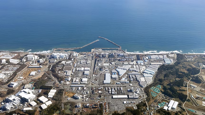 “很放心” 澳洲竟公开支持日本核污水排海！一年进口千万+日本水产，真的不用担心吗？（组图） - 1