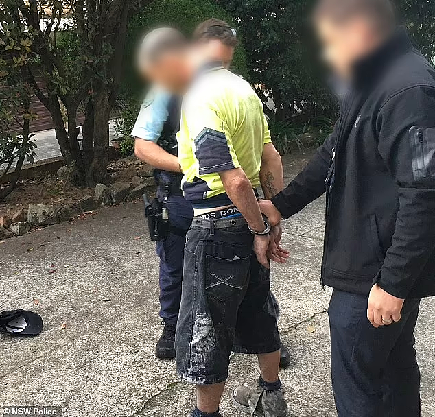 悉尼14岁女孩在公园厕所遭性侵！1男子家中被捕，被控5项罪（组图） - 2