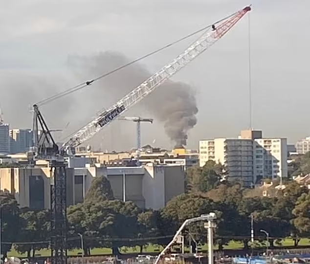 最新！悉尼内城区公寓楼今晨突发大火，1男子不幸死亡，建筑部分区域受损（视频/组图） - 10