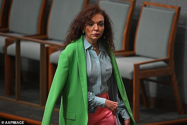 Around 27,551 breaches occurred nationwide at approved early-childhood education centres in 2021-22. Pictured is federal early childhood services minister Anne Aly