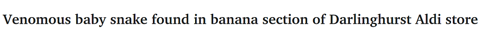 悉尼Aldi货架惊现毒蛇！疑跟随香蕉“偷渡”，官方回应（图） - 1
