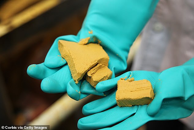 A box labelled 'yellowcake', which is concentrated uranium oxide powder, was found on a science storage shelf at Castle Hill School. Pictured: an Indian worker wearing protection handles Yellowcake