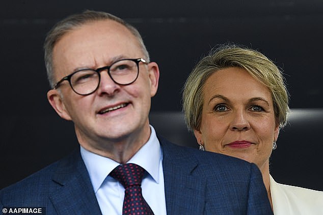 Anthony Albanese (left) is pictured with Tanya Plibersek