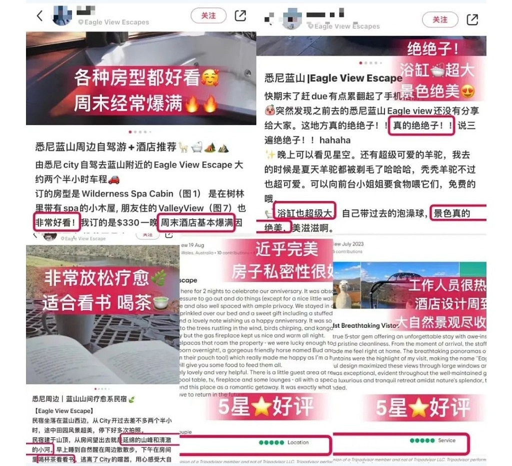 颜值和实力并存的度假酒店Eagle View Escape 绝对是情侣CP的首选之地！今年农场还新生了一只可爱的羊驼哦🦙！ - 6