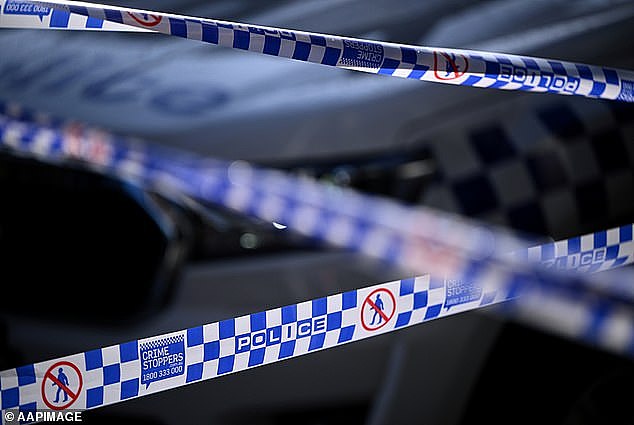 Fourteen children - boys and girls ranging in age from seven-months old to 19 years old - from their home in Sydney after the two eldest daughters recorded their parent's allegedly abusing them