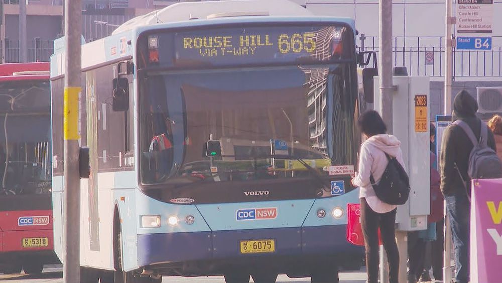 悉尼巴士服务5天内遭取消489次！泄露文件遭澳媒体曝光，揭开悉尼面临严重巴士司机短缺问题（组图） - 2